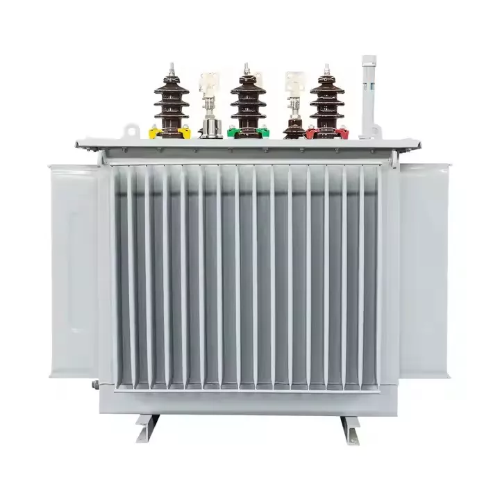 Trasformatori di distribuzione trifase in bagno d'olio con montaggio su pad da 1000 kVA